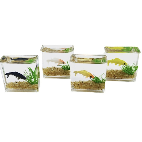 Miniatyr Glas Akvarium Utsökt Akvarium Scen Modell Hemdekorationer för Dockhus eller Modellscen Simulering