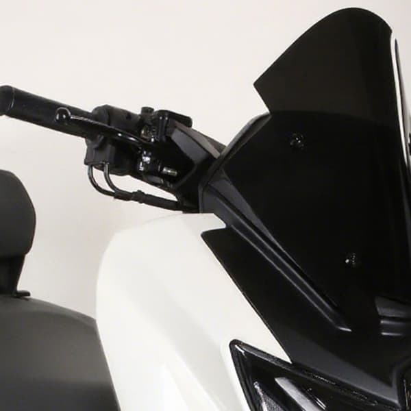 Ridsefast forrude, nem installation, klart tilbehør Black
