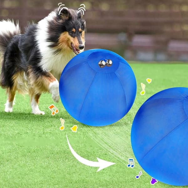 Hyrdebold til hunde, til hyrdehunde, Corgier, Collier interaktivt hoppelegetøj