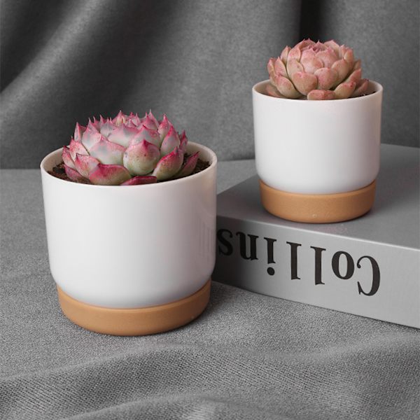 Plastimitation Keramiska suckulenta växtkrukor Blomkruka-stora/små växtkrukor för kaktus högstyrka växtkrukor L