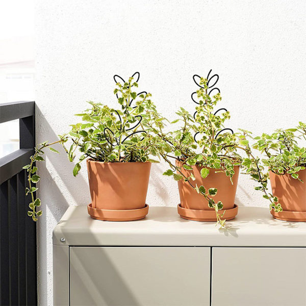 2 förpackningar Trädgårdsspaljé Små krukväxter Spaljé för klätterväxter inomhus utomhus för blomma grönsaksrankor Krukor Gold