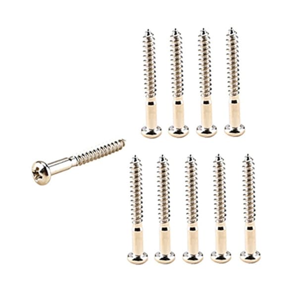 10 delar Gitarrskruvsats Elgitarr Bridge Monteringsskruvar, Halsplatta Installationsskruvar, Nickel