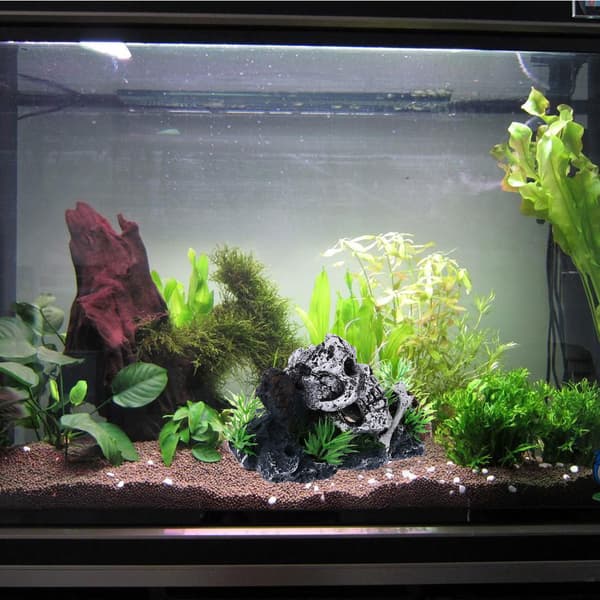 Akvarium harpiksdekorationer Betta gemmested hule til eremitkrebs Guppy små fisk