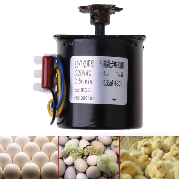 Egg Inkubator Motor Synkronmotor for Kyllinger Ender Gås Egg Klekking
