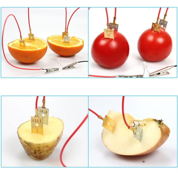 Fruktelektricitet Experiment Hands on Assembly Leksak för Barn Tonåring Student
