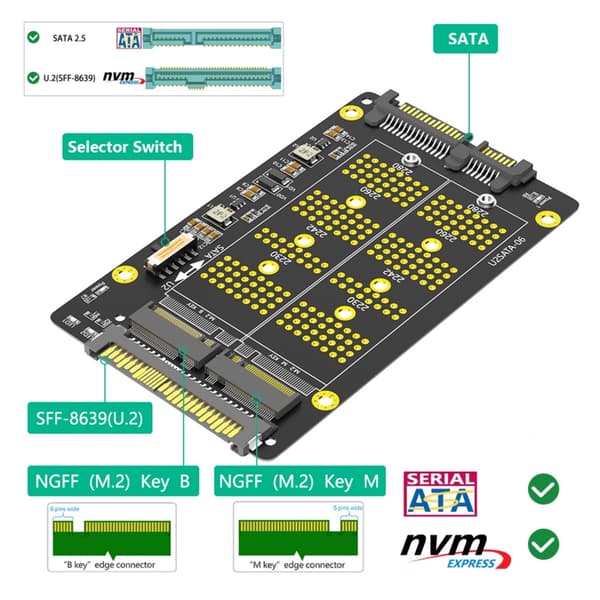 M.2 Key B+M Konverter Til SFF 8639 Kort Til 2230 2242 2260 2280 Computere