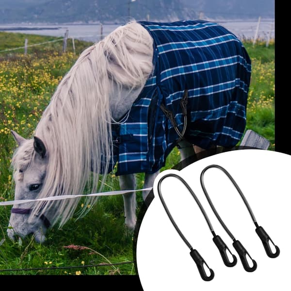 Elastiske hestedekkefester, sett med 4 justerbare benstropper med klips