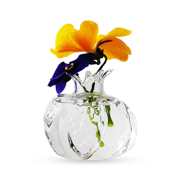 Granatäppleform Klart glas Vas Flaska Blomflaska Växter Flaska Glas Material för hemväxter Blomdekorationer S