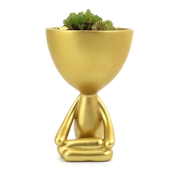 Suckulent växt blomkruka Container Abstrakt mänsklig konst vas Desktop dekoration Gold