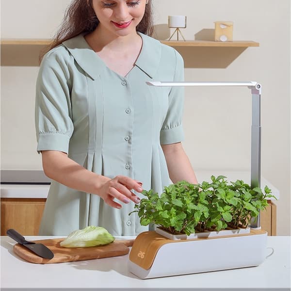 Automatisk 16H lyscyklus hydroponiske vækstsystemer justerbar lampe til blomster