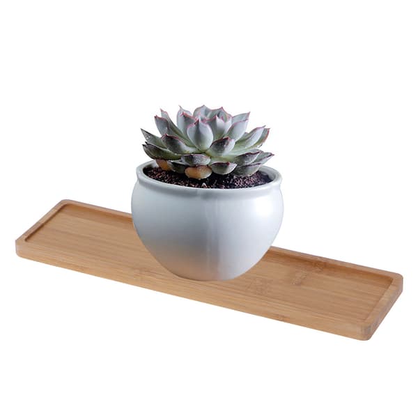 Rektangulær Bambus Tre Fat Plantebrett Mini Plante Blomsterpotte Stativ