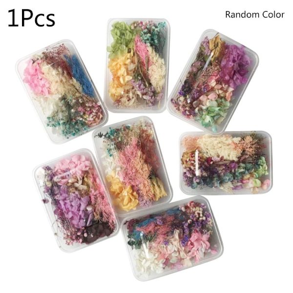1 Eske Ekte Blandede Tørkede Blomster for Resin Smykker Tørre Planter Pressede Blomster DIY