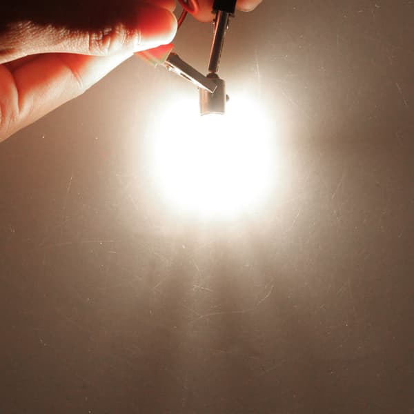 2 stk. Bil Lyspære Halogenlampe Frontlyspære Backup Indikator 12V 1.9A 250LM