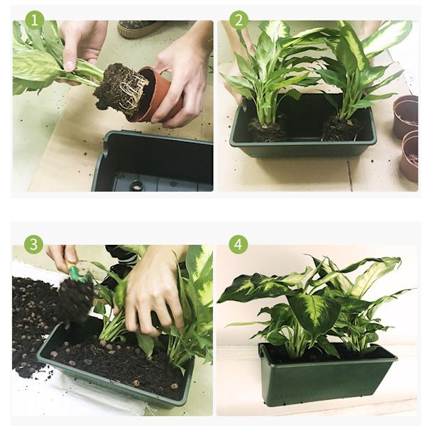 Vägghängande vertikal blomkruka Planterkruka Suckulenta gröna växter Bonsai Vas Hem