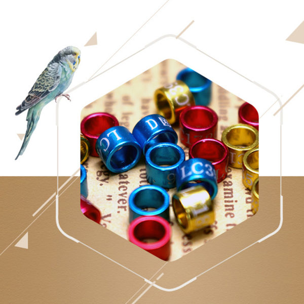 50 st Kycklingbensringar Färgglada kalkonidentifieringsbenband Fjäderfä Metallbenband 5 mm klämma för duvor och fåglar