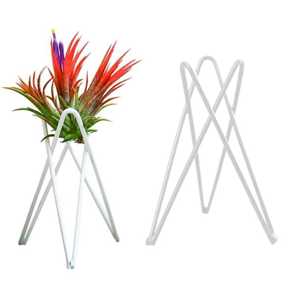 Luftväxthållare Metall Blomkrukställ Geometriskt järn Tillandsia Display Art White