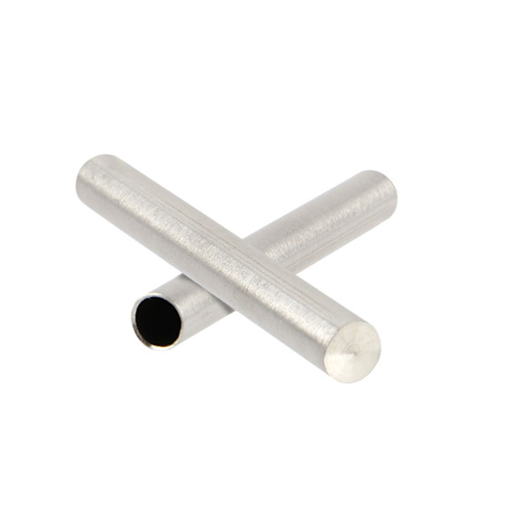 10 st PT100 DS18B20 Temperatursensor Hölje Rör Skyddshylsa 6*50mm