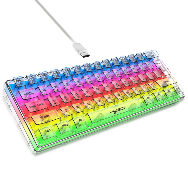 Transparent skaltangentbord RGB LED Type-C USB -trådbunden datortillbehör Ergonomisk 61 tangenter Tangentbord Bakgrundsbelysning Tangentbord