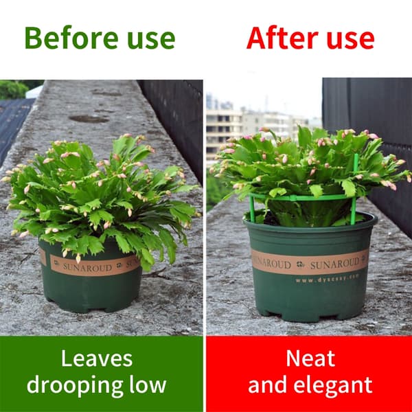 Robust tomatplantstöd för trädgårdar Trädgårdsplantstöd för grönsaker
