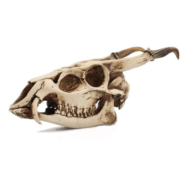 Imitation Wild Goat Skull Desktop Ornaments Heminredning för Creative Mod