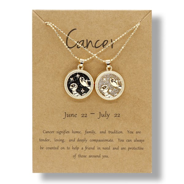 2st 12 Constellation Mynt Kedja Kort Halsband Dag Natt Choker Halsband Par Jubileum Vänskap Smycken Present null - 12 Capricorn