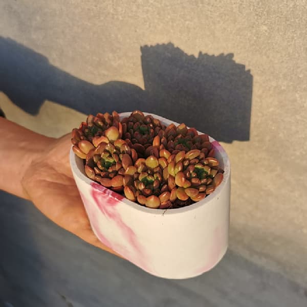 Resin Silikoneform Planter Opbevaringsbeholder Epoxyharpiksform til DIY Håndværk