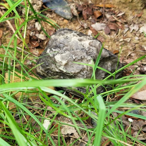 Skjult simuleringsstenboks Penge Hemmelig Opbevaringsenhed Sten Sparebøsser