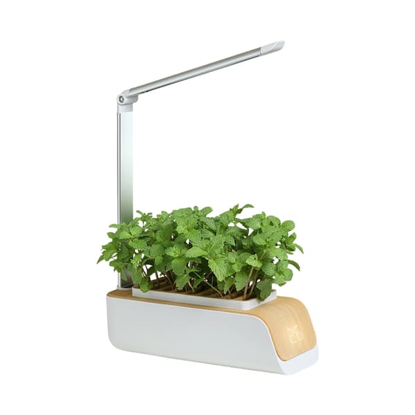 Automatisk 16H lyscyklus hydroponiske vækstsystemer justerbar lampe til blomster
