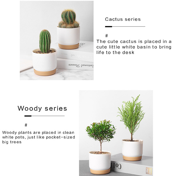 Plastimitation Keramiska suckulenta växtkrukor Blomkruka-stora/små växtkrukor för kaktus högstyrka växtkrukor L
