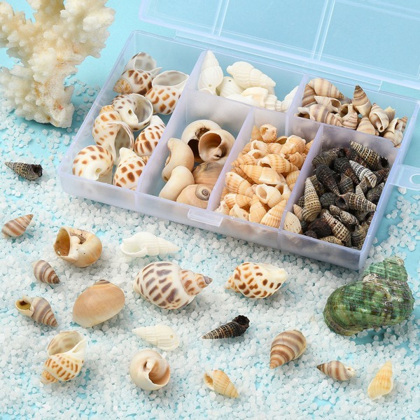 1 box Naturlig liten havssnäcka form för skal för gör-det-själv smycken Hitta tillbehör Tillbehör Snäckskal Halsband Brac