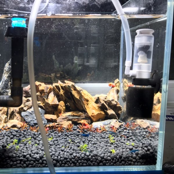 Aquarium Bio Sponge Filter Mini Size för Betta Fry Räkuppfödare Lämplig för sötvatten och saltvatten små fisktankar