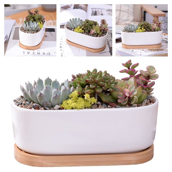 Suckulenta plantera Keramisk blomkruka med bambu fack dräneringshål dekoration