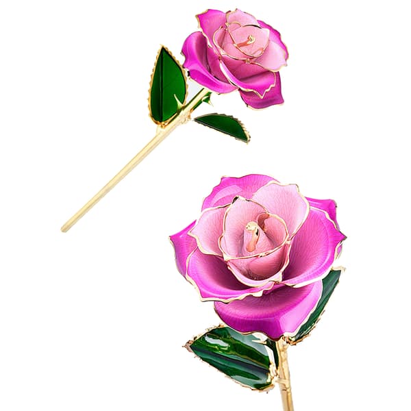24K Guldpläterad Ros Torkad Blomsterkit med Presentförpackning och Displayställ White