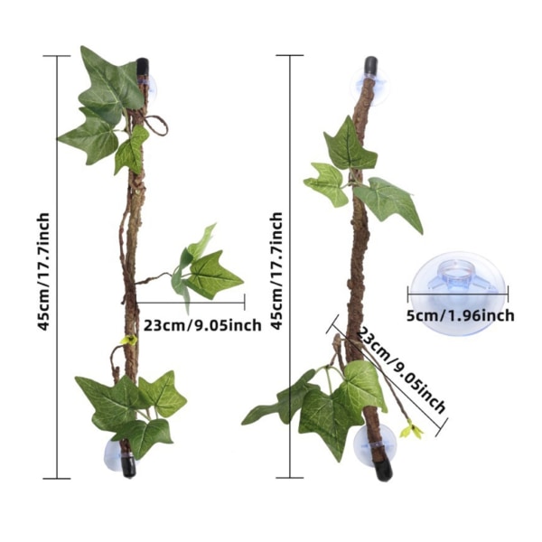 2st ödlor klättrande vinrankor Sugkoppsgren Geckosgren Smådjursklättrande vinrankor Bekväm sugkoppsgren