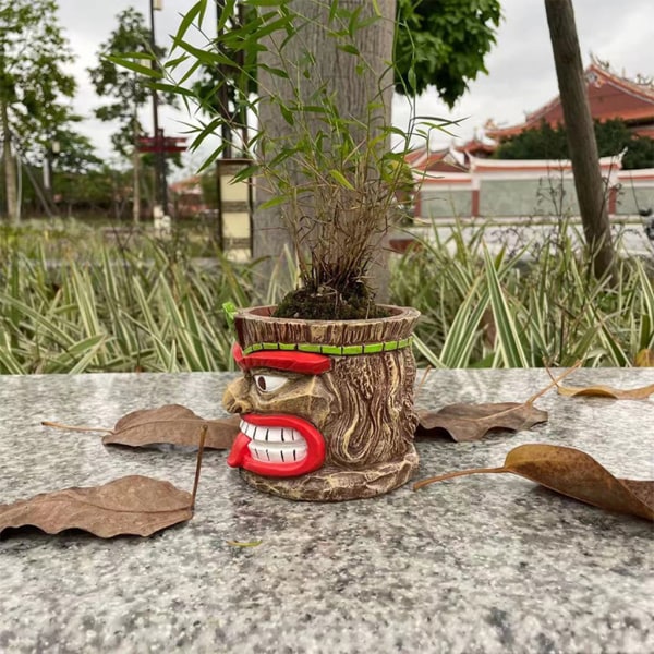 Rolig tecknad harts blomkruka Planter Hem trädgård Plant Suckulenter Hållare Pot C