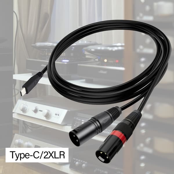 USB C til 2XLR hanlydlinjer til mixerkonsoller og forstærkere 100cm