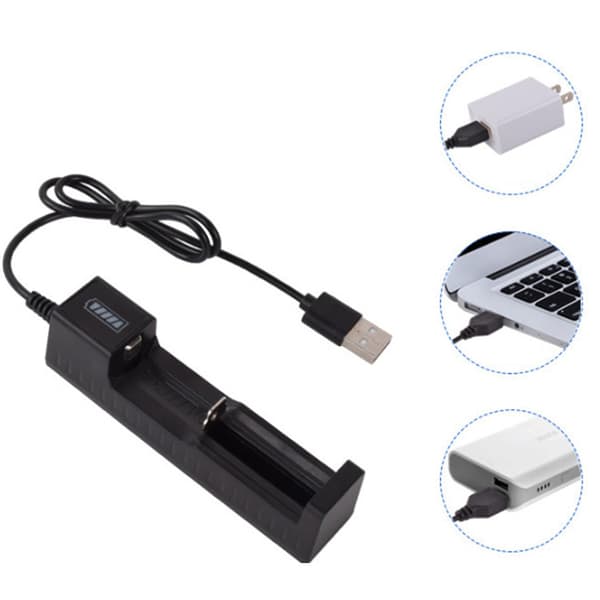 Batteriladdare med IC-skydd 1-plats batteridocka USB