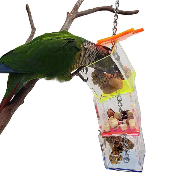 Akryl Bird Water Dispenser Papegoja Waterer Feeder Cups Bird Drinker Container