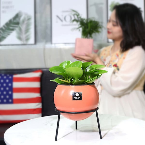 Rund vasskruka med krukväxtställ Modern blomkruka i metall inomhusdekor Black