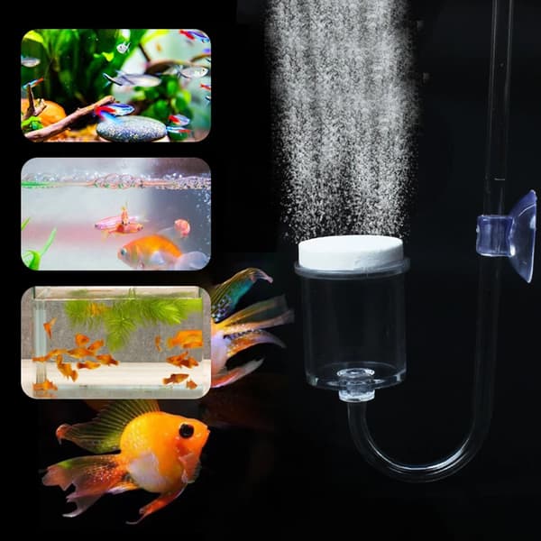 CO2-diffusor 4 stk. til Nano Kit Transparent Glas Øger CO2-mætning Black
