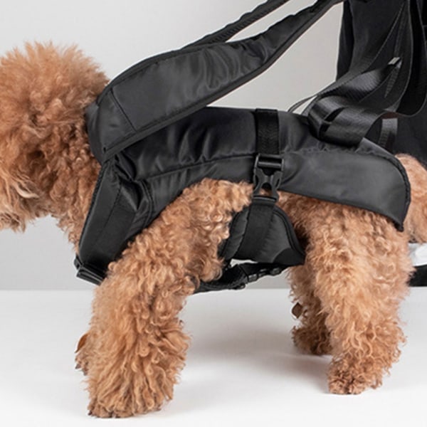 Hundhållare Justerbar ryggsäck för vandring eller resor Sportväska Trainer Outdoor för små medelstora hundar Red S