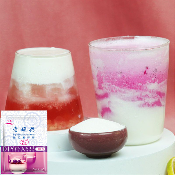 1 förpackning 10 g hemgjord yoghurtjäststarter Gör bra satser av kvalitetsprobiotikatät vanlig vegansk yoghurtpulver