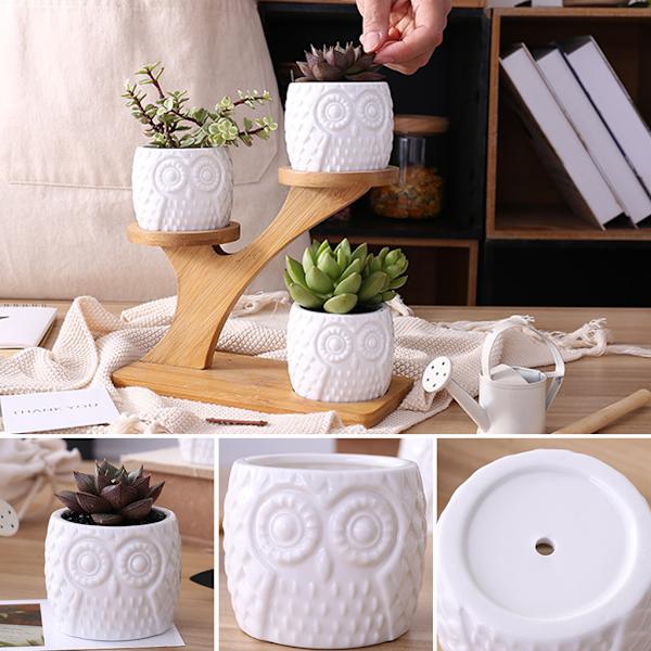 Söt Ugglakruka Suckulent Kaktuskruka Blomkruka Set med Bambu Hylla Inredning