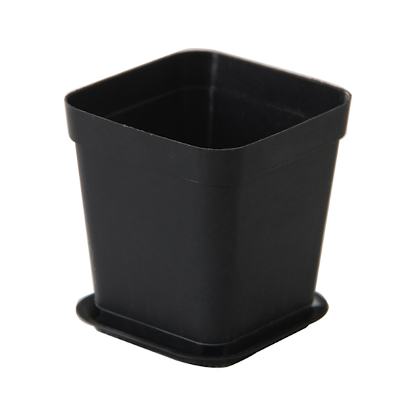 Firkantet plantepotte i plastik til haven med underskål, kaktus, rodkontrolleret plantekasse, smukke kaktus-lignende plantepotter 5x8x7cm