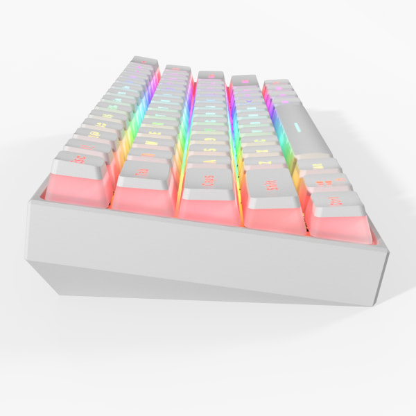 61 tangenter Type-C RGB LED Double Skin Milk Shot Bakgrundsbelyst trådbunden mekanisk tangentbord Mini Gaming Tangentbord för PC Desktop Blue