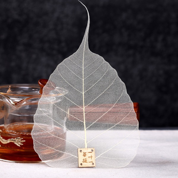 Miljömässigt Bodhis Leaf Tea Leak Filter för Creative Zen Kung Fu Mesh Hollow L