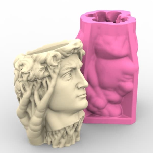 Blomsterpotteform Silikonform for sukkulentplanter Skrivebordsornament