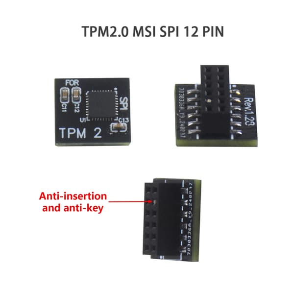 Krypteringssäkerhet TPM 2.0 Modul 12Pin SPI-gränssnitt för moderkort