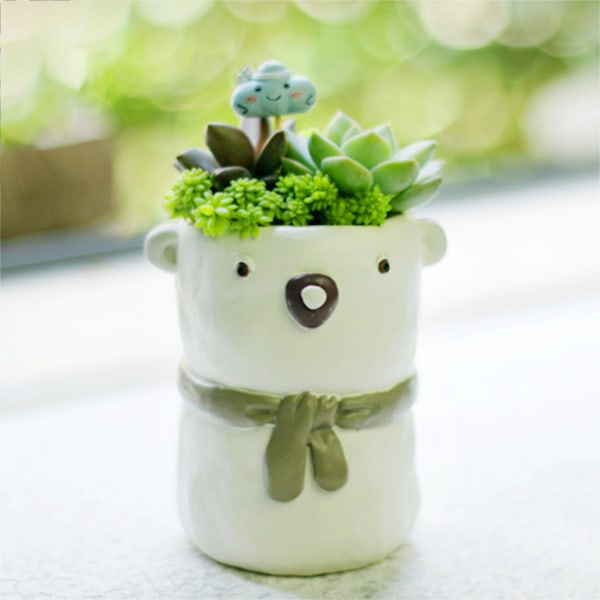 DIY Little Bear Succulenter Blomkruka Form Växtvas Mould