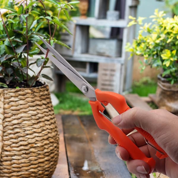 Rustfri Miniatyrspids Havesaks Komfortabel Til Blomster Bonsai